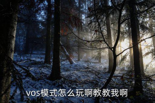 王者荣耀手游薇恩教学怎么玩，vos模式怎么玩啊教教我啊