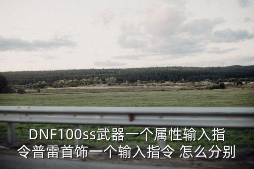 DNF100ss武器一个属性输入指令普雷首饰一个输入指令 怎么分别