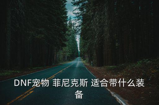 DNF菲尼克斯什么属性，DNF宠物 菲尼克斯 适合带什么装备