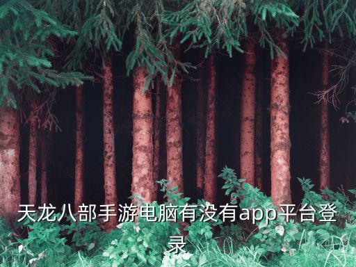 天龙八部手游电脑有没有app平台登录