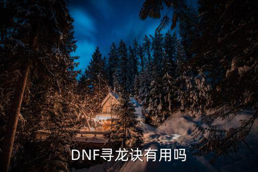 DNF寻龙诀有用吗