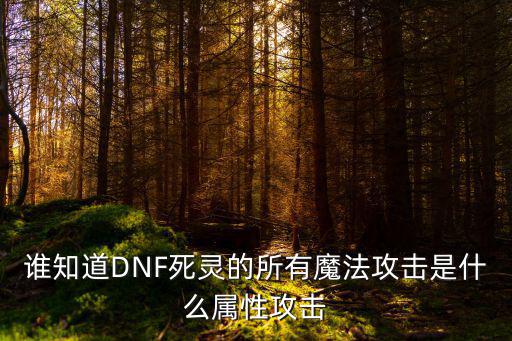 谁知道DNF死灵的所有魔法攻击是什么属性攻击