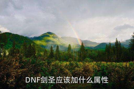 DNF剑圣应该加什么属性