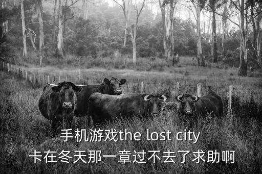 手机游戏the lost city 卡在冬天那一章过不去了求助啊