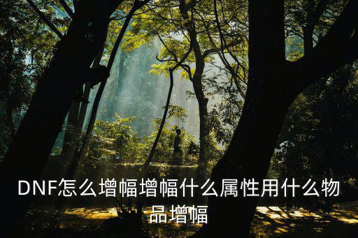 DNF怎么增幅增幅什么属性用什么物品增幅