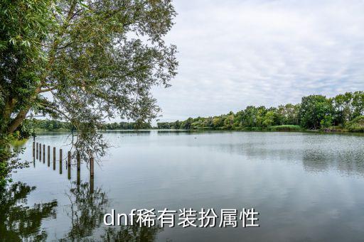 DNF稀有下装有什么属性，dnf稀有装扮套装属性