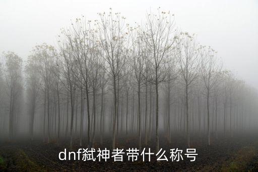 dnf弑神者带什么称号