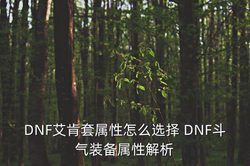 DNF艾肯套属性怎么选择 DNF斗气装备属性解析