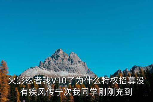 火影忍者我V10了为什么特权招募没有疾风传宁次我同学刚刚充到