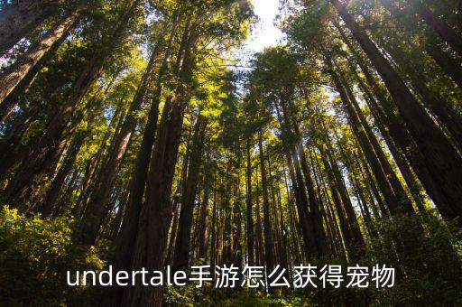 undertale手游怎么获得宠物