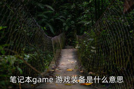 笔记本game 游戏装备是什么意思