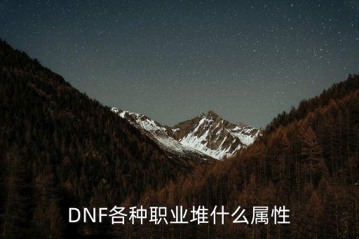 DNF各种职业堆什么属性