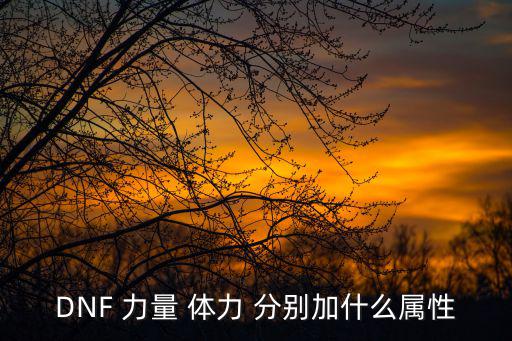 DNF 力量 体力 分别加什么属性