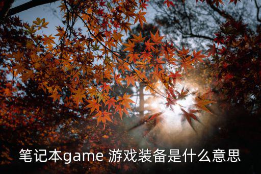 笔记本game 游戏装备是什么意思