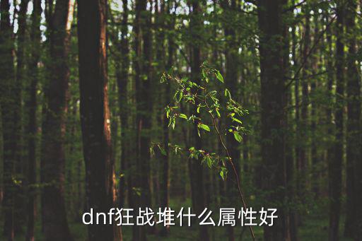 dnf狂战堆什么属性好