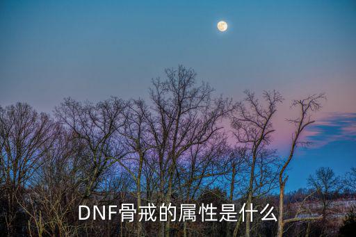 DNF骨戒的属性是什么