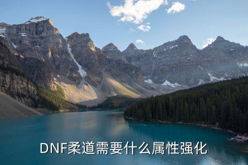 DNF柔道需要什么属性强化