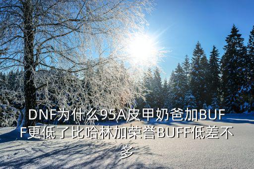 DNF为什么95A皮甲奶爸加BUFF更低了比哈林加荣誉BUFF低差不多