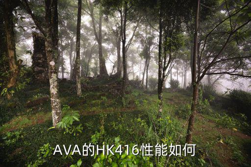 AVA的HK416性能如何