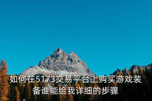 如何在5173交易平台上购买游戏装备谁能给我详细的步骤