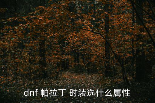 dnf 帕拉丁 时装选什么属性