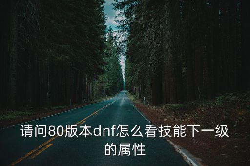 请问80版本dnf怎么看技能下一级的属性