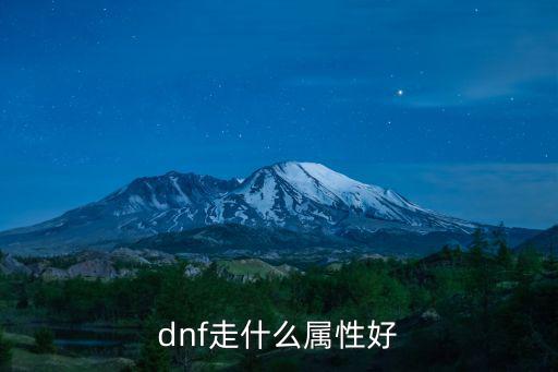 dnf走什么属性好