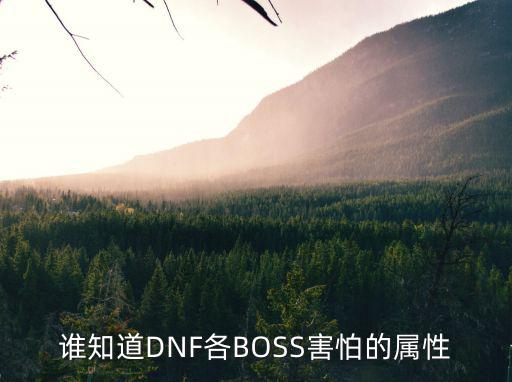 谁知道DNF各BOSS害怕的属性