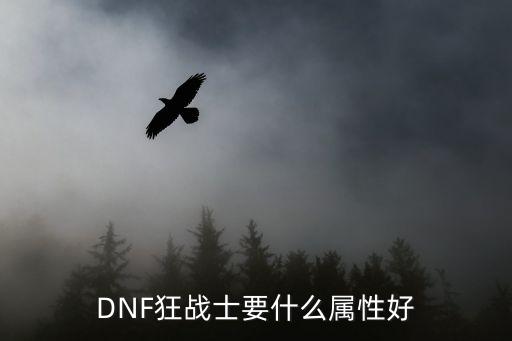 DNF狂战士要什么属性好