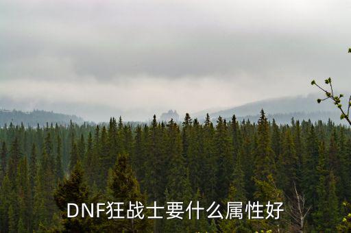 DNF狂战士要什么属性好