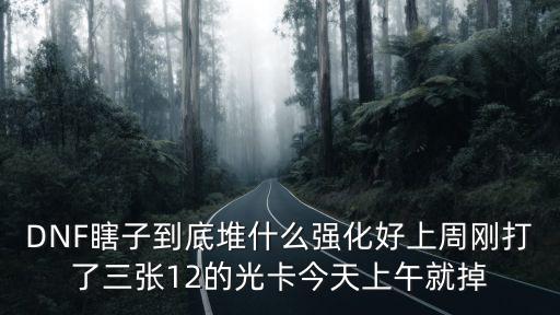 DNF瞎子到底堆什么强化好上周刚打了三张12的光卡今天上午就掉