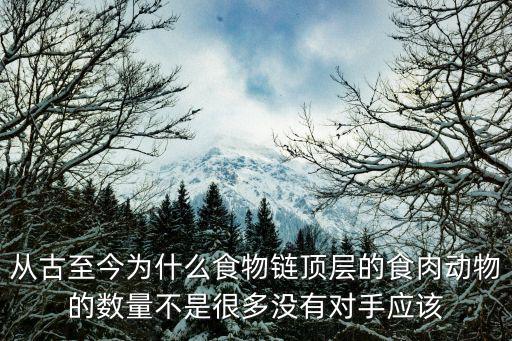 从古至今为什么食物链顶层的食肉动物的数量不是很多没有对手应该