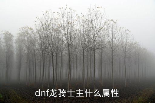 dnf龙骑士主什么属性