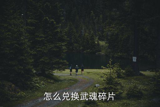 怎么兑换武魂碎片