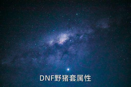 DNF野猪套属性