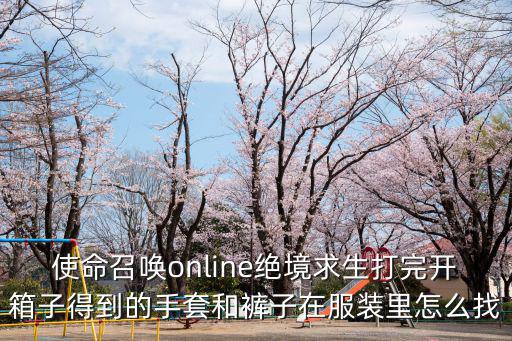 使命召唤online绝境求生打完开箱子得到的手套和裤子在服装里怎么找