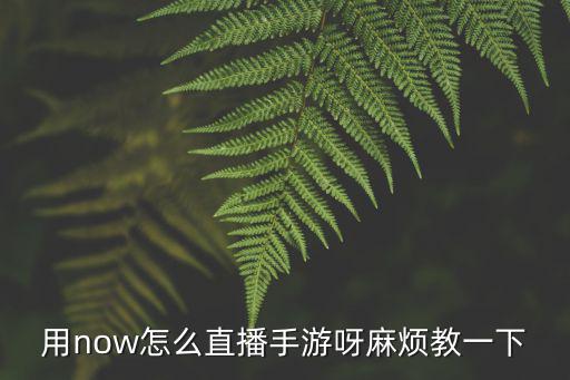 用now怎么直播手游呀麻烦教一下