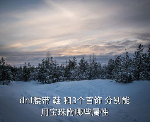 dnf腰带 鞋 和3个首饰 分别能用宝珠附哪些属性