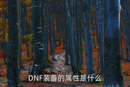 dnf什么是打造装备属性，DNF武器和装备的属性是啥意思