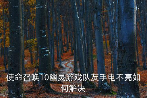 使命召唤10幽灵游戏队友手电不亮如何解决