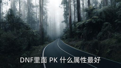 DNF里面 PK 什么属性最好