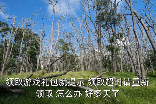 领取游戏礼包就提示 领取超时请重新领取 怎么办 好多天了