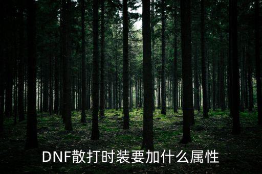 DNF散打时装要加什么属性