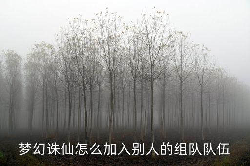 梦幻诛仙怎么加入别人的组队队伍