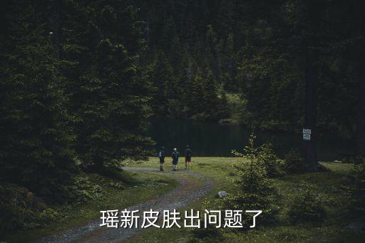 瑶新皮肤出问题了