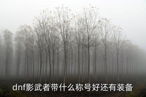 dnf影武者带什么属性，dnf影武者带什么称号好还有装备