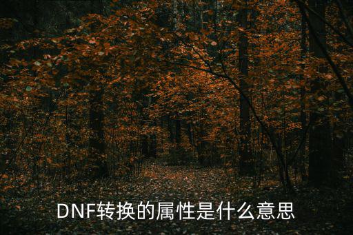 DNF转换的属性是什么意思