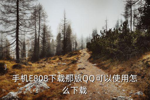 手机E808下载那版QQ可以使用怎么下载