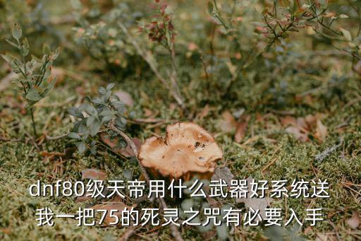 dnf80级天帝用什么武器好系统送我一把75的死灵之咒有必要入手