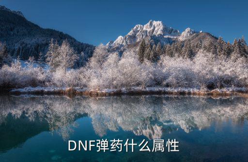 dnf弹药堆攻击什么属性，DNF弹药要什么属性